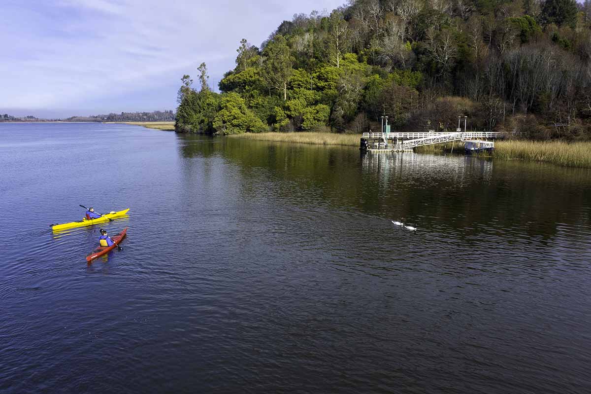 14062020-DJI_0236 copia