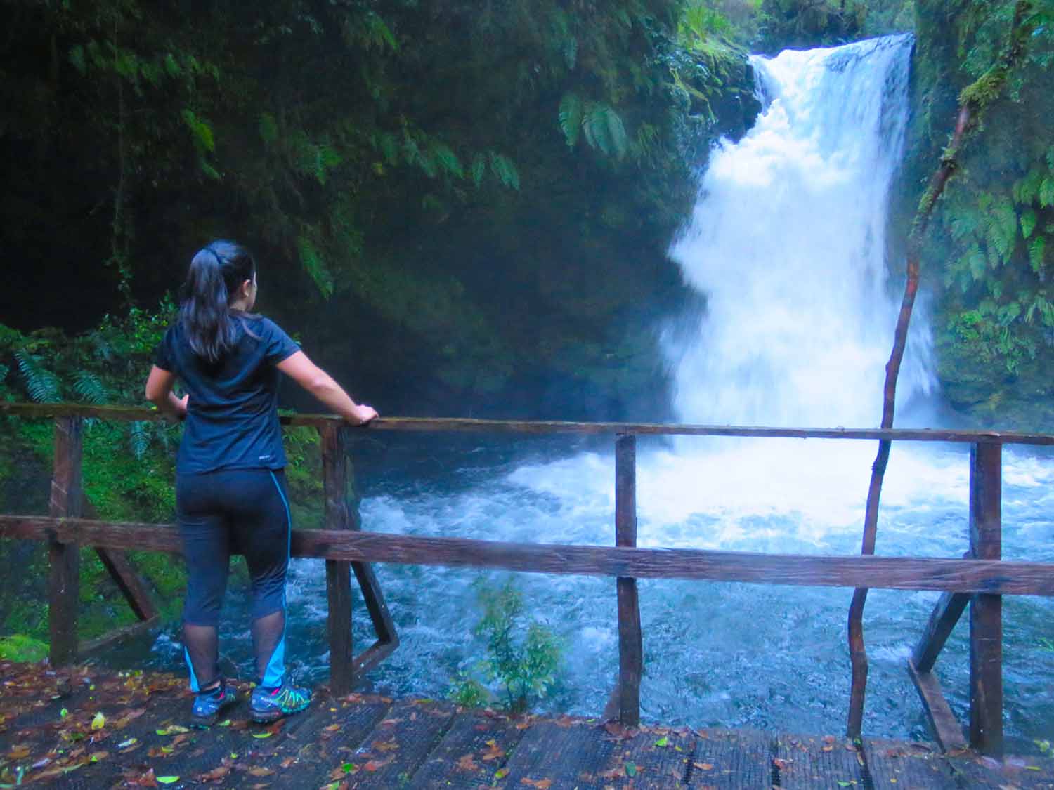 34694D82-D19A-4FEC-A5B7-2AEA1CB631AE copia