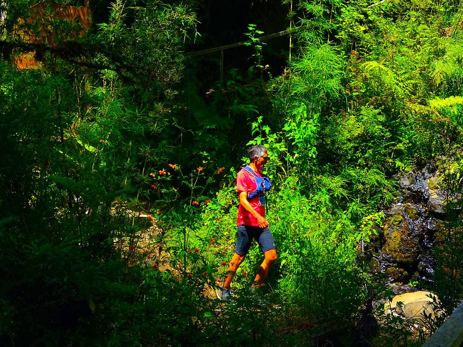 46CF844F-7C1F-4001-B725-ED0A77A3A35E copia