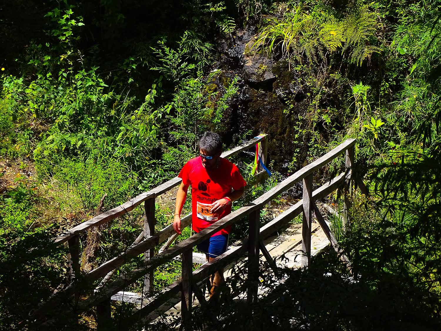 6EB0A763-F873-4E10-BF7C-4A6DDFA91E5D copia