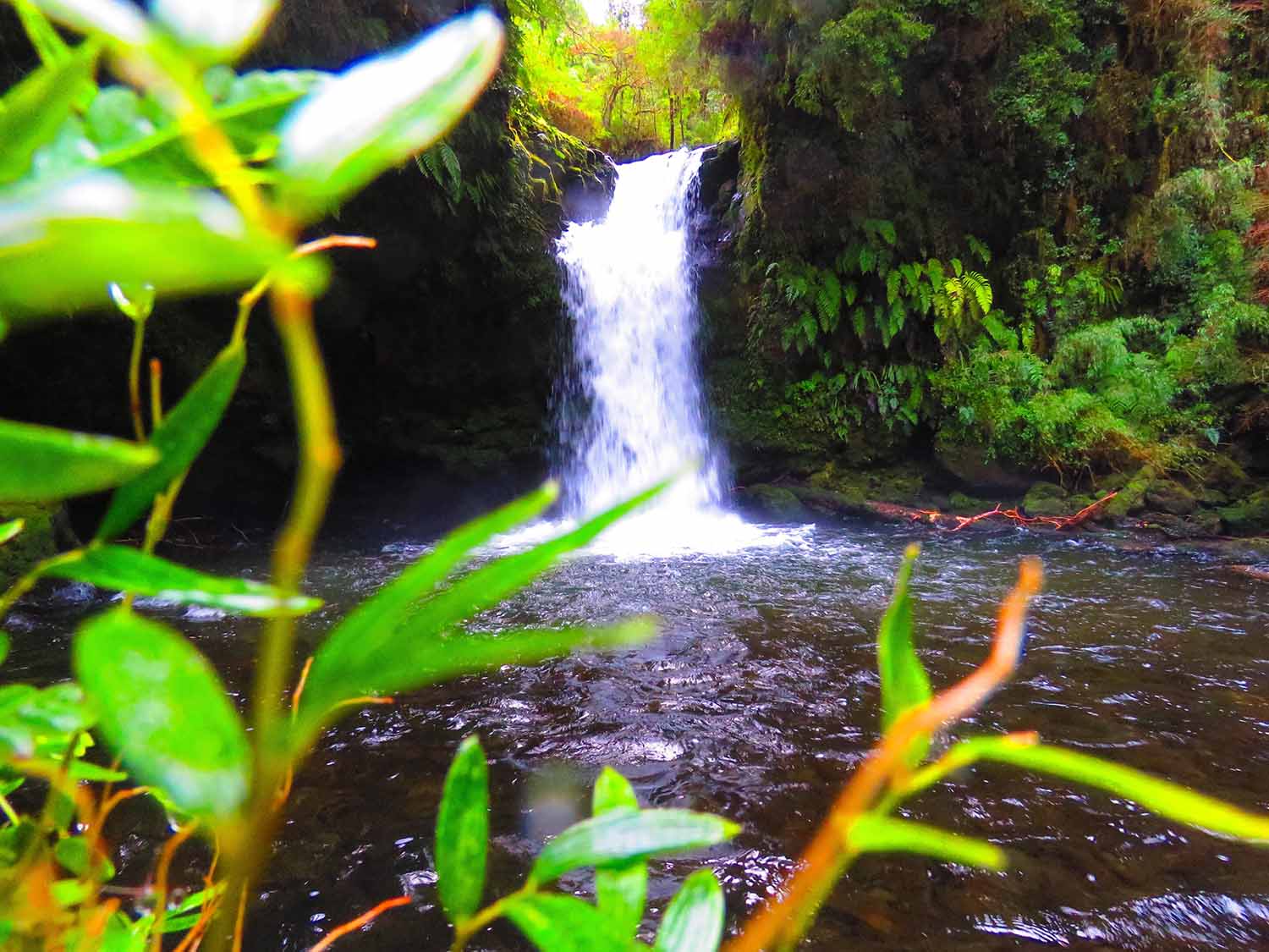 E97DB578-D58D-41DF-AC8C-5F56B1721D03 copia