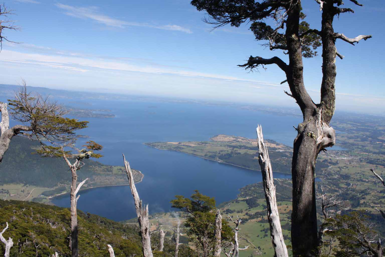 IMG_0158-1-1536x1025 copia