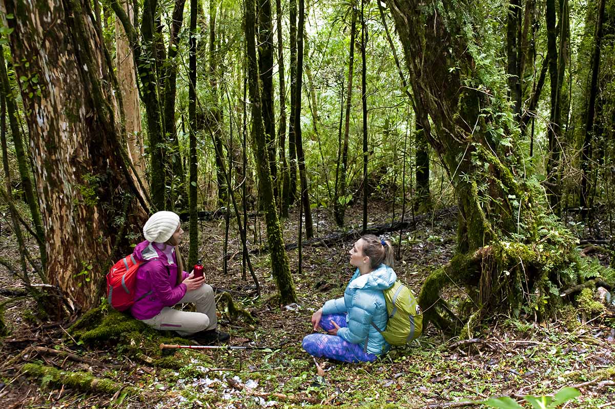 Mariquina-parqueyenehue4 copia
