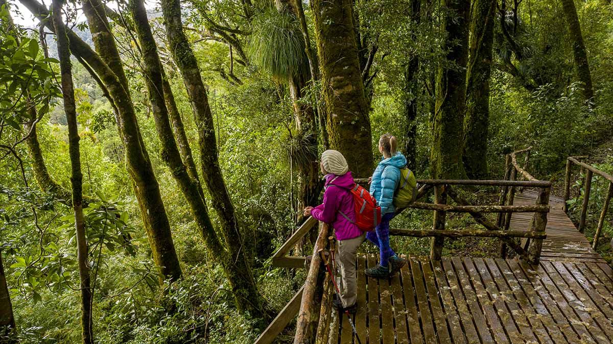 Mariquina-parqueyenehue6 (1) copia