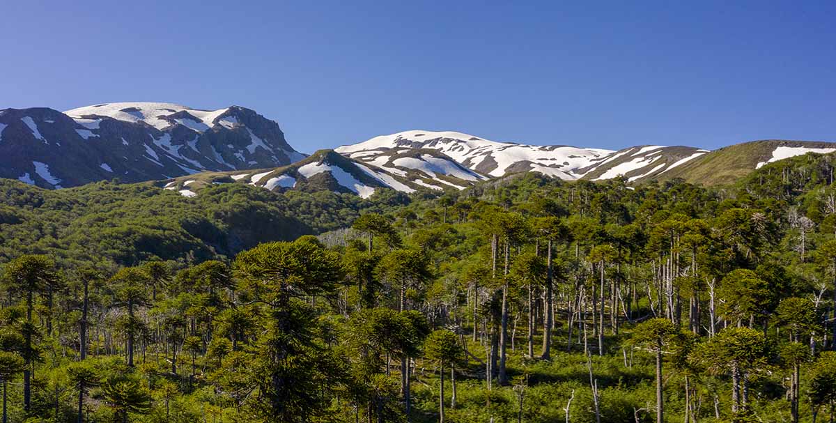 PNVillarica9 (1) copia