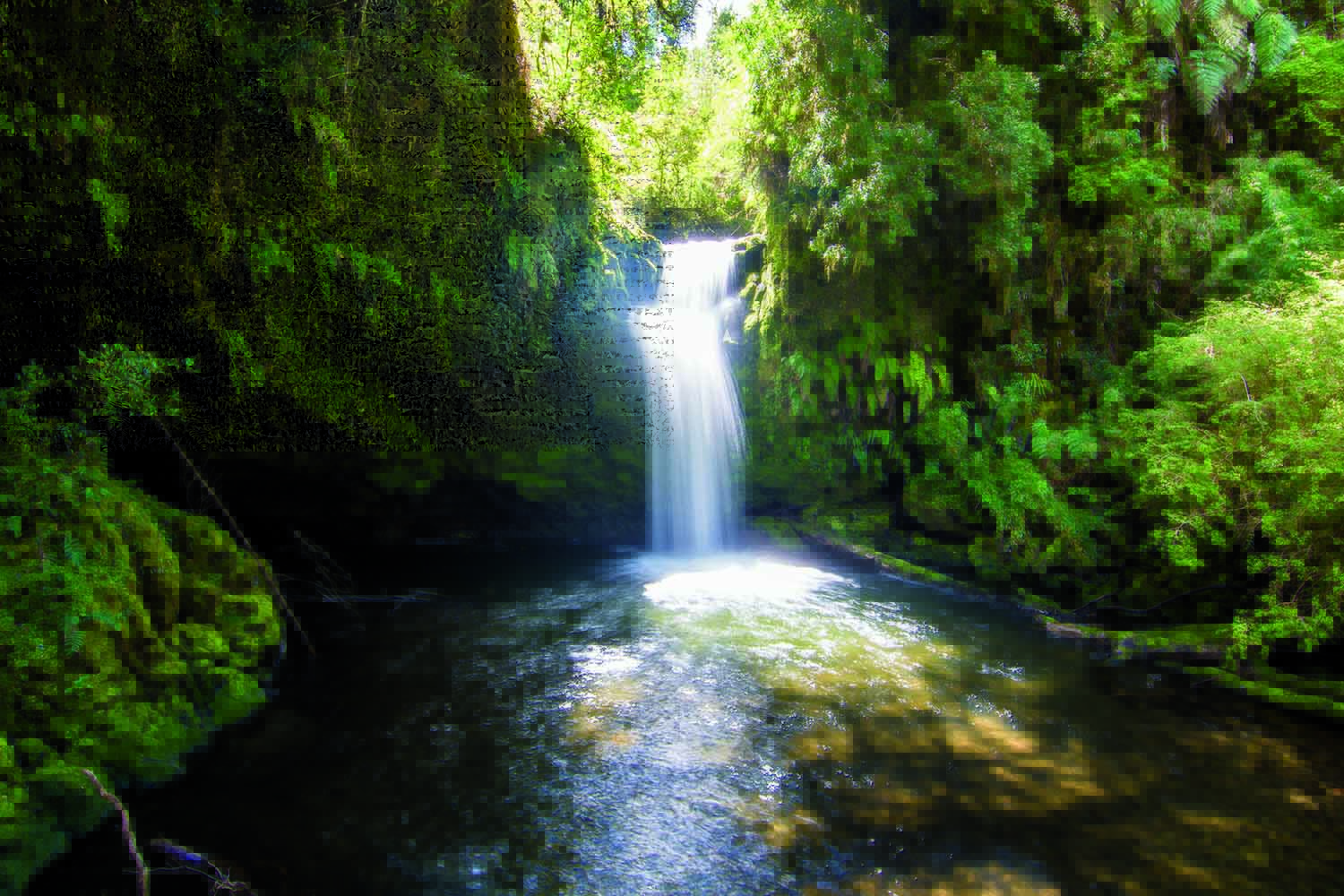 Parque-Peumayen copia
