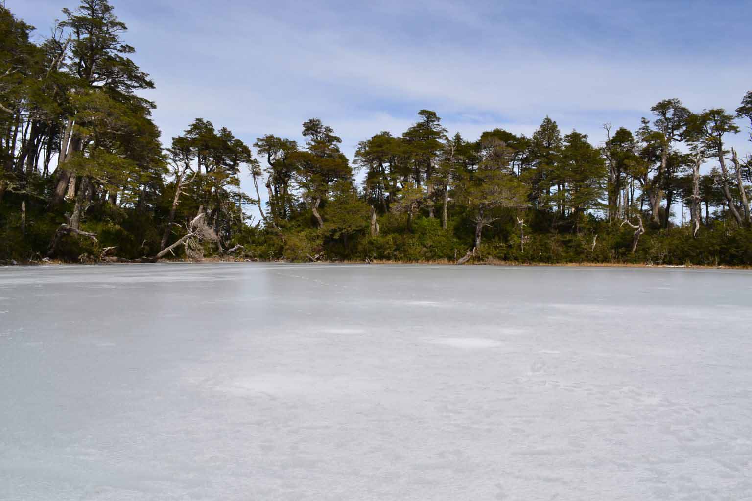 Parque-Pico-Toribio-11-1536x1024 copia