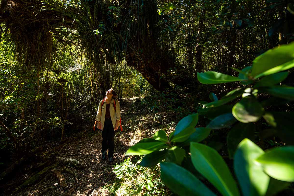 ReservaPilunkura1 copia