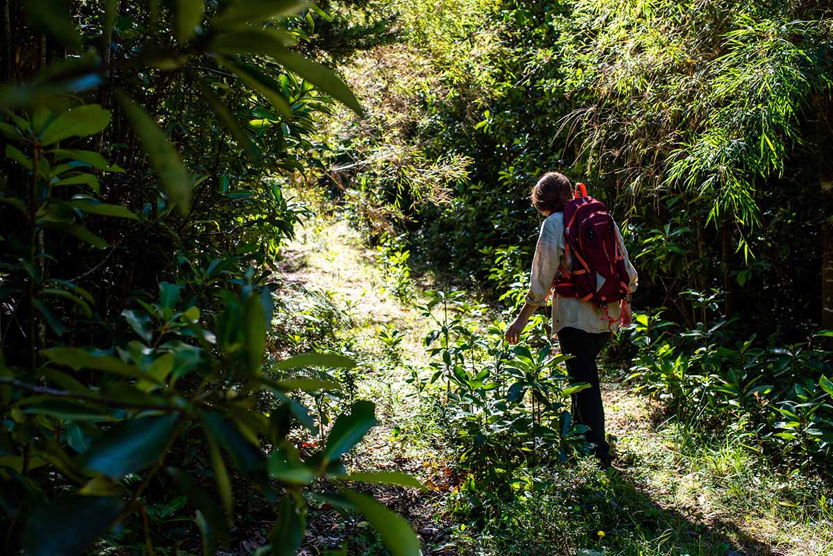 ReservaPilunkura11 copia