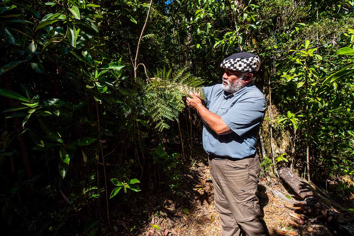 ReservaPilunkura2 copia