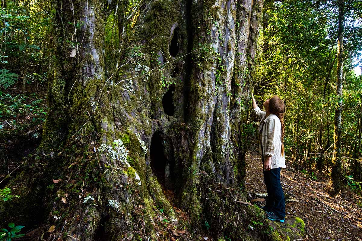 ReservaPilunkura6 copia