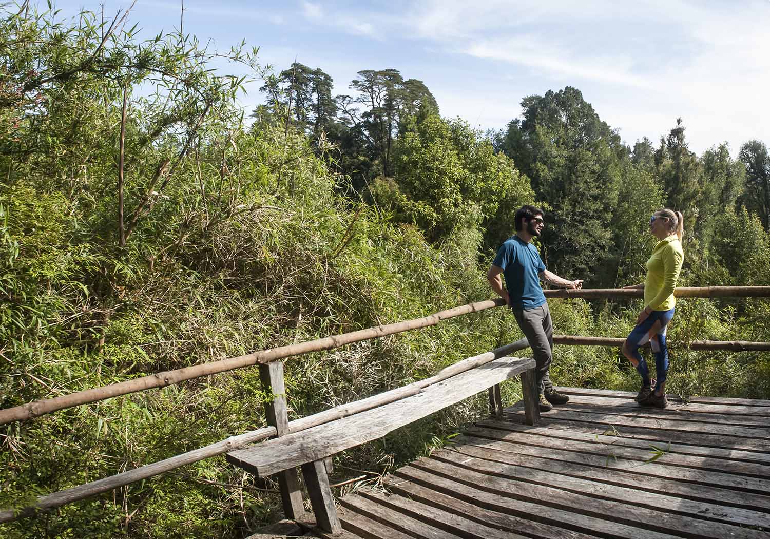 Untitled_Panorama1vbggh copia