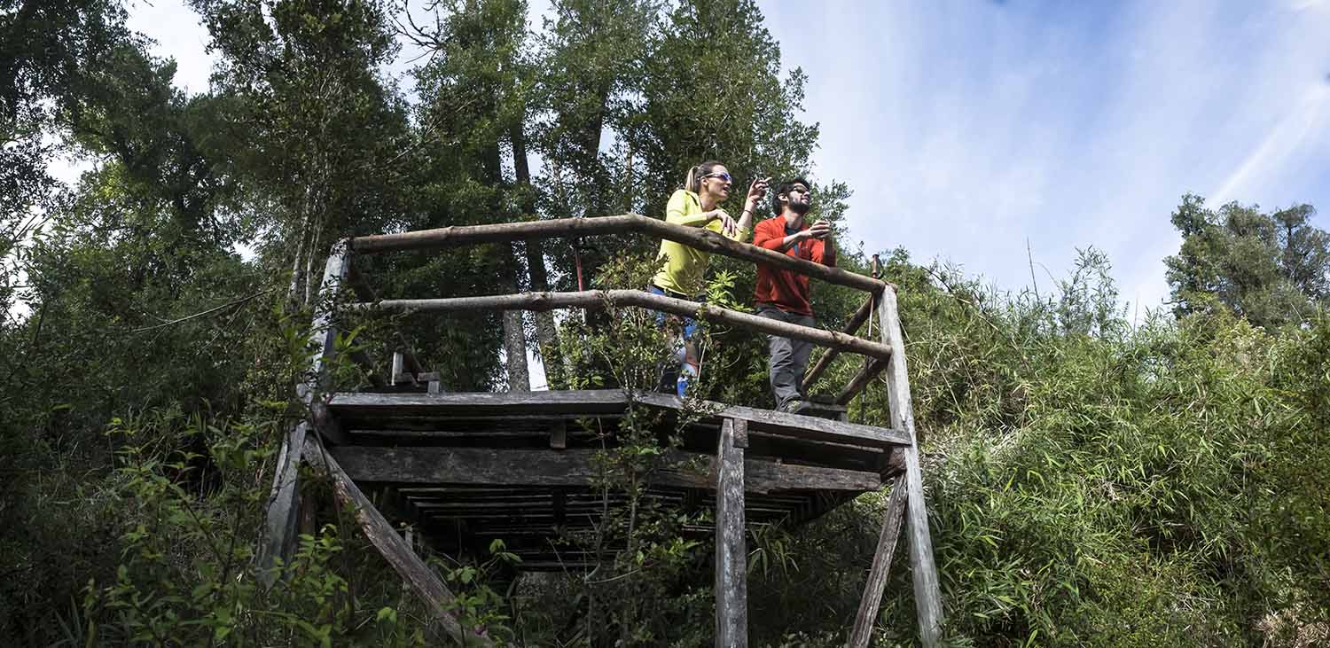 Untitled_Panorama1vvbgm copia