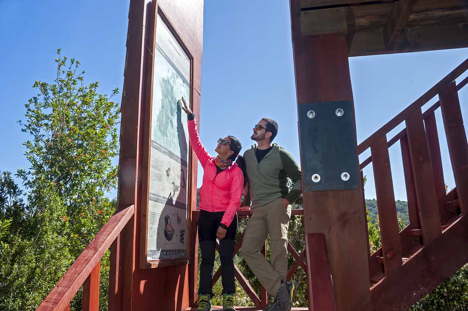 Valdivia-PNAlerceCostero2 copia