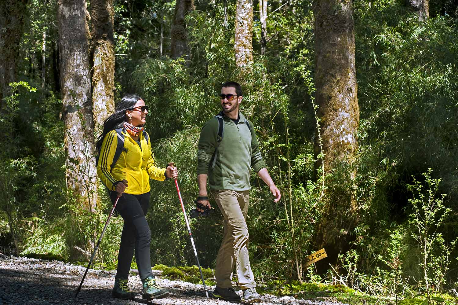 Valdivia-PNAlerceCostero3 copia