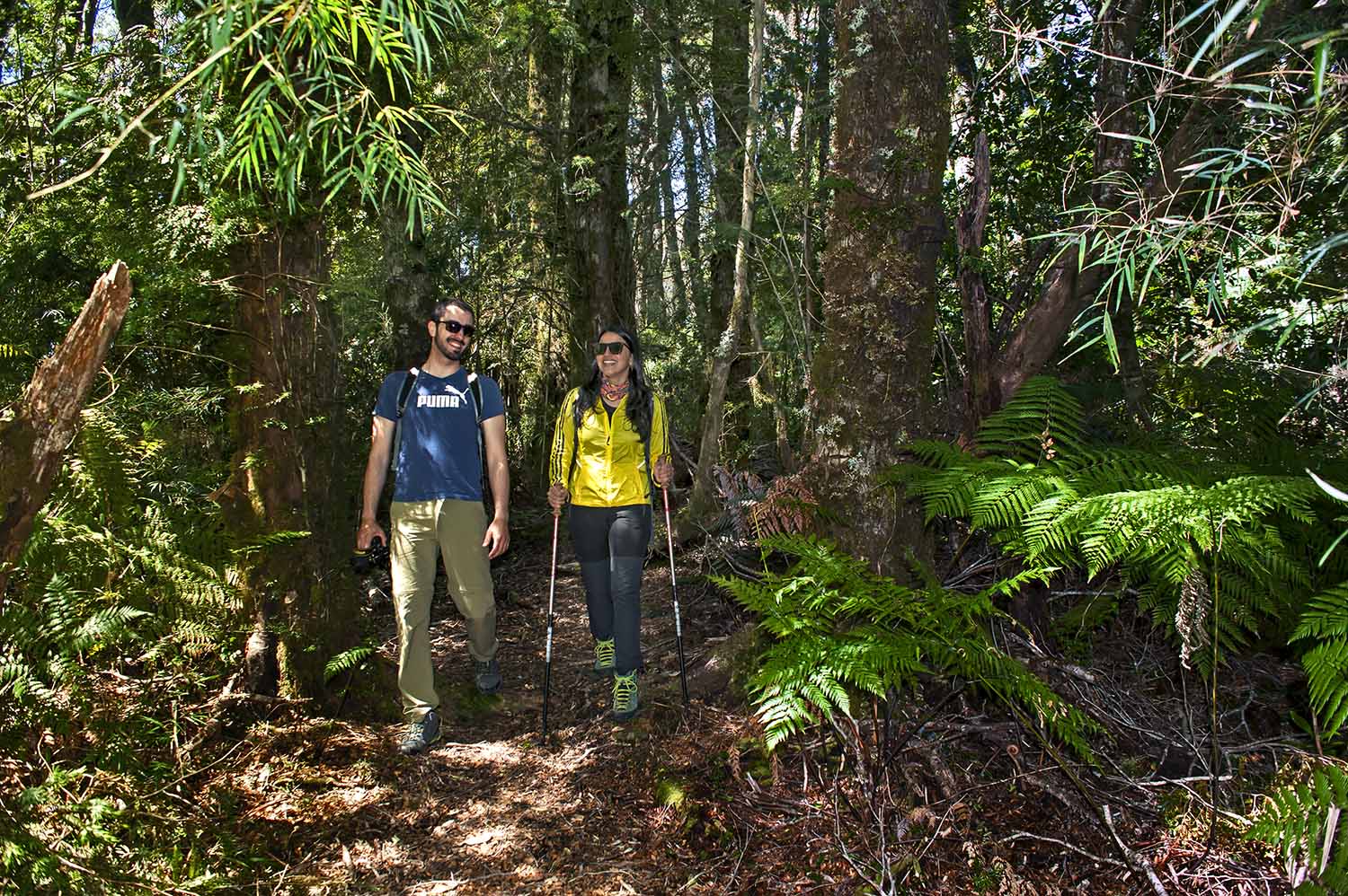 Valdivia-PNAlerceCostero5 copia