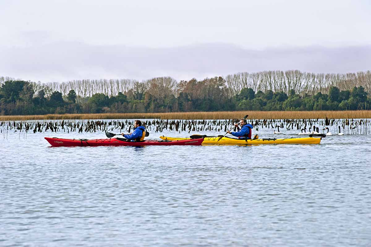 Valdivia-SantuarioNaturalezaCA26 copia