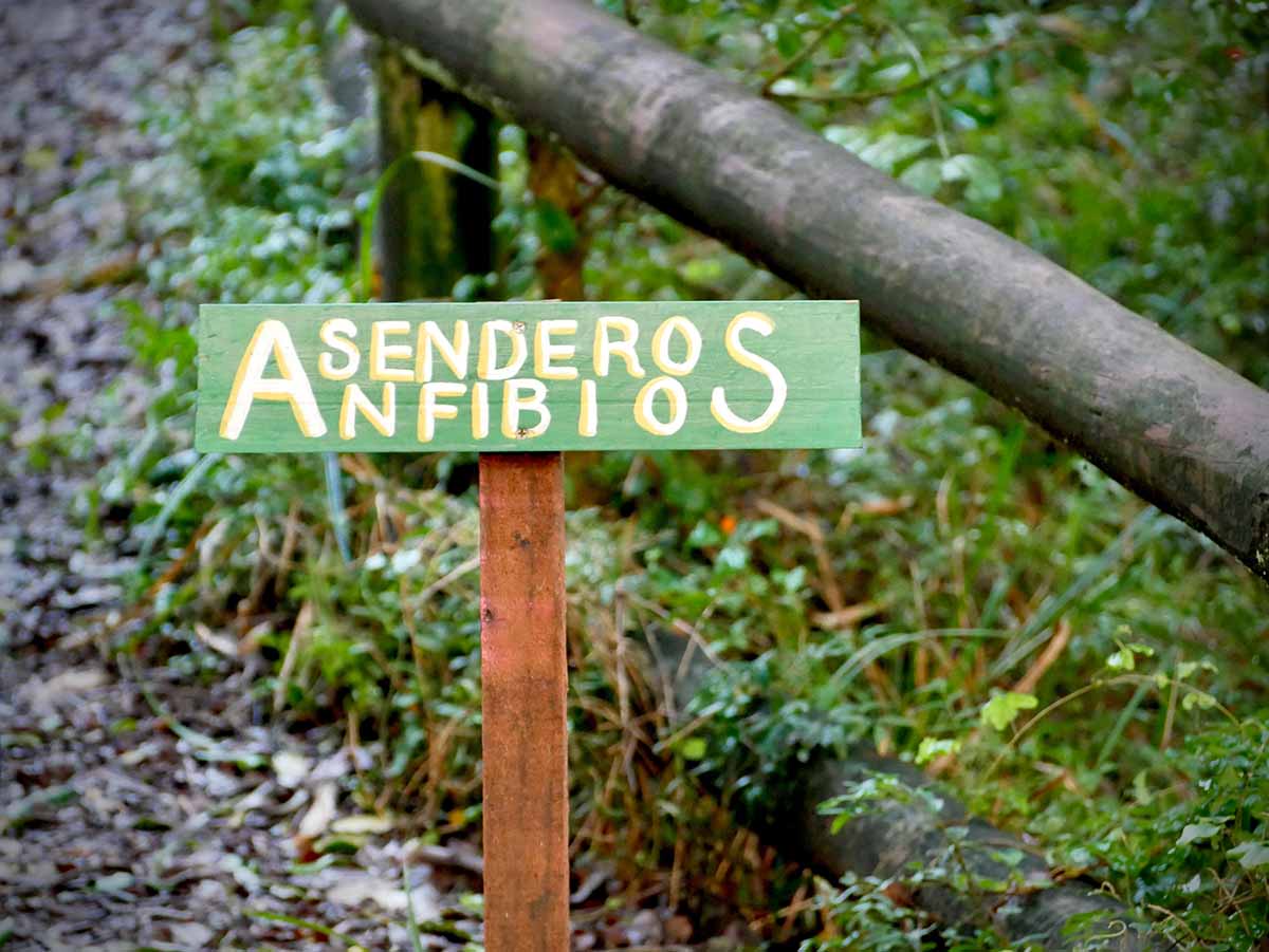 WhatsApp Image 2025-07-08 at 14.35.24 copia