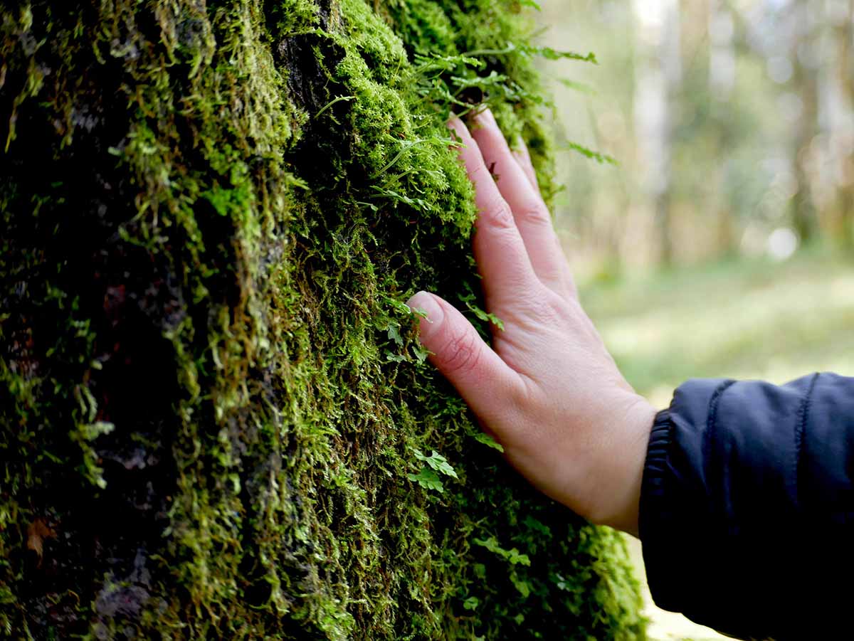 WhatsApp Image 2025-07-08 at 14.35.25 (2) copia