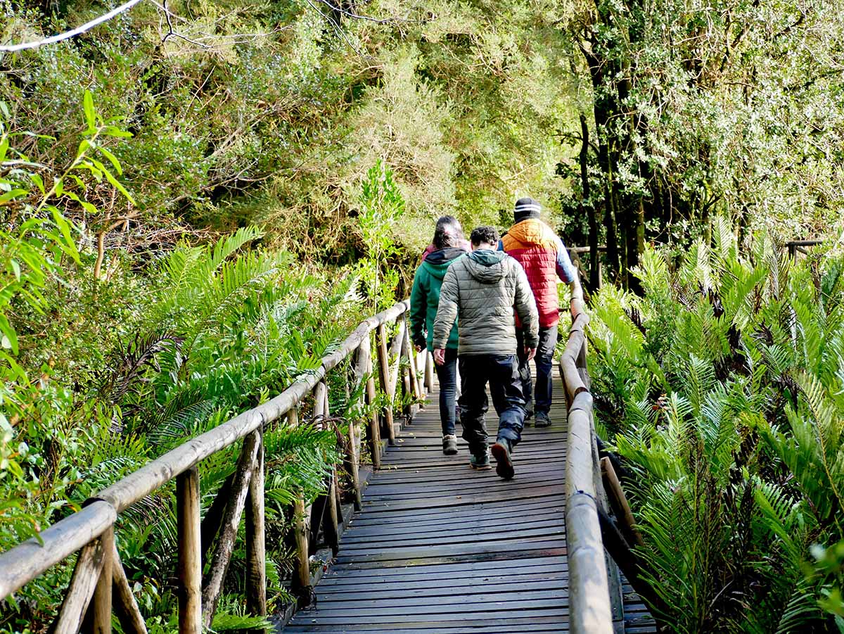 WhatsApp Image 2025-07-08 at 14.35.28 copia