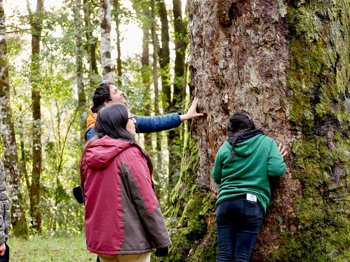 WhatsApp Image 2025-07-08 at 14.35.33 copia