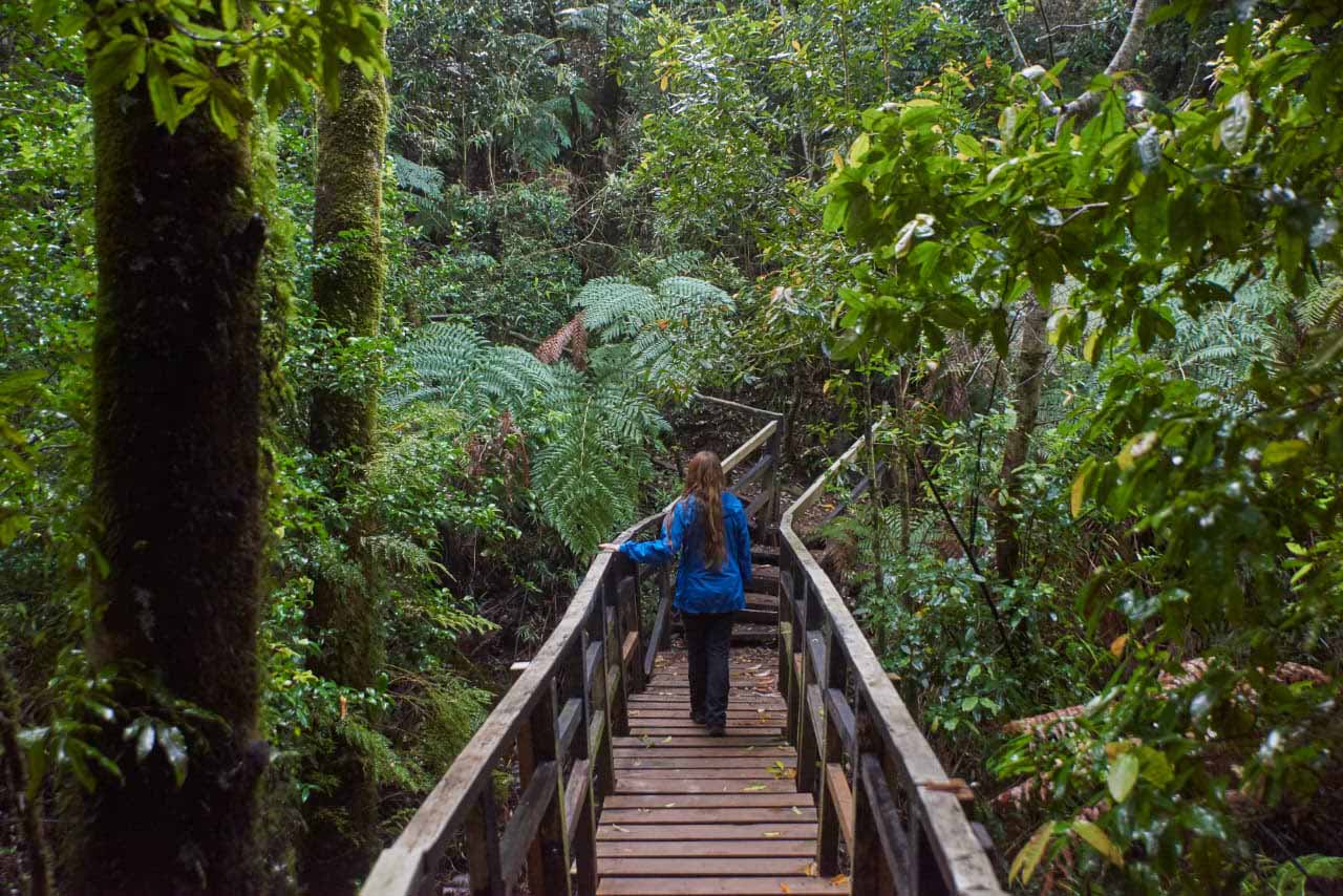 WhatsApp Image 2025-11-03 at 17.14.19 copia