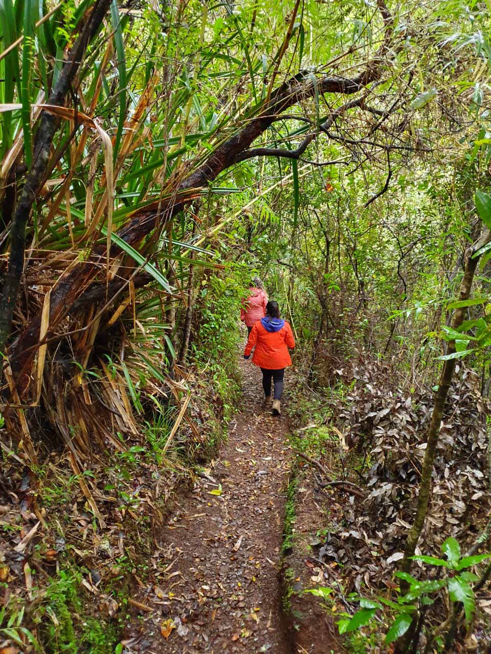 WhatsApp Image 2025-11-03 at 17.18.11 copia