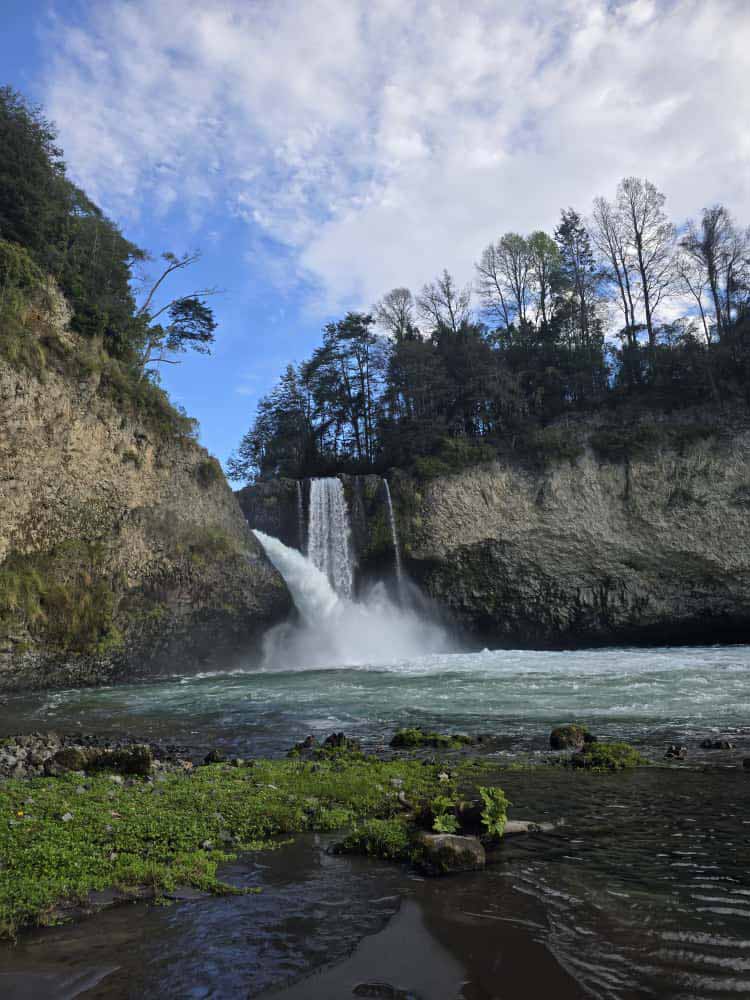 WhatsApp Image 2025-11-05 at 10.20.17 copia