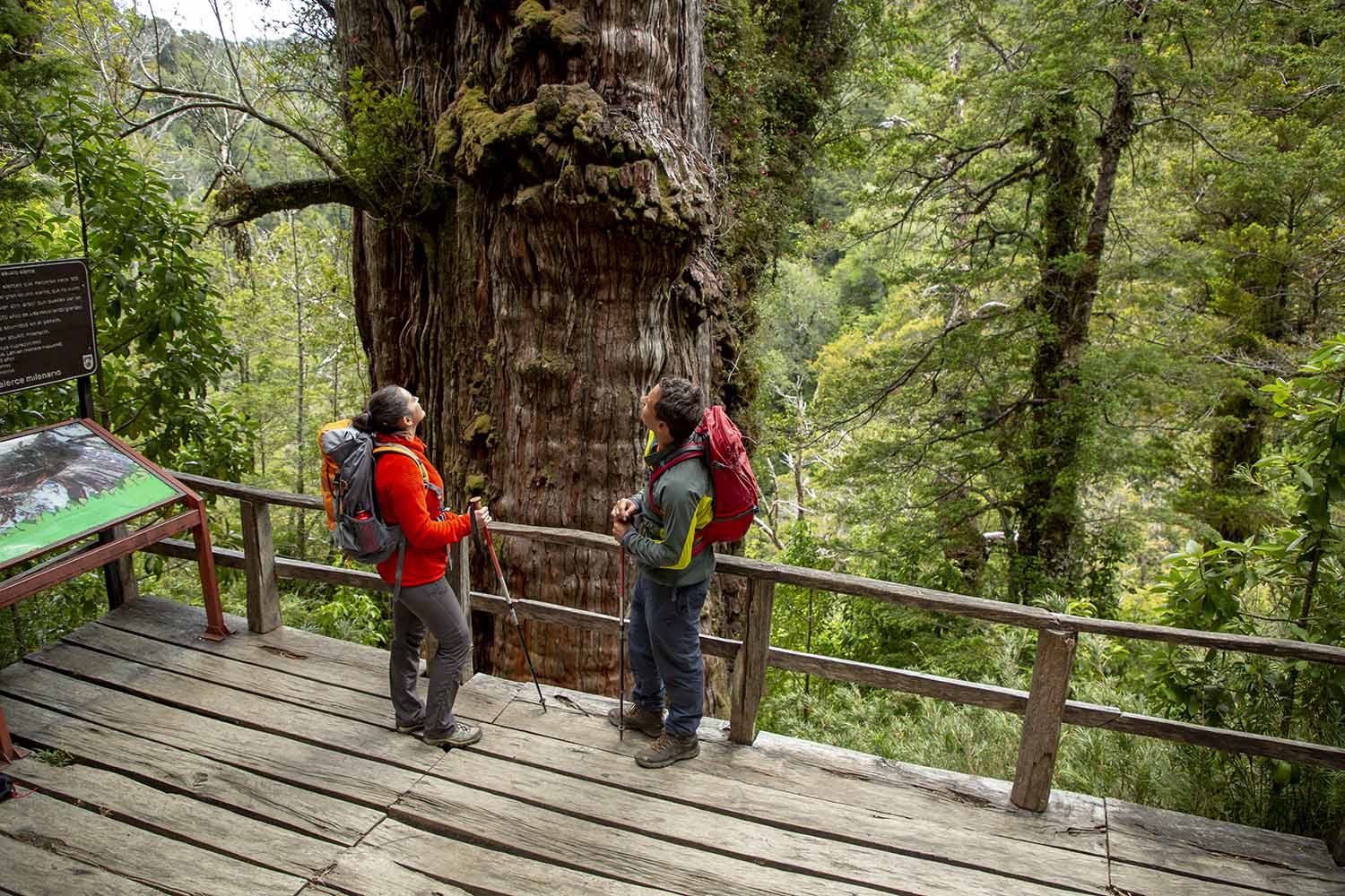 acceso contr-137 copia