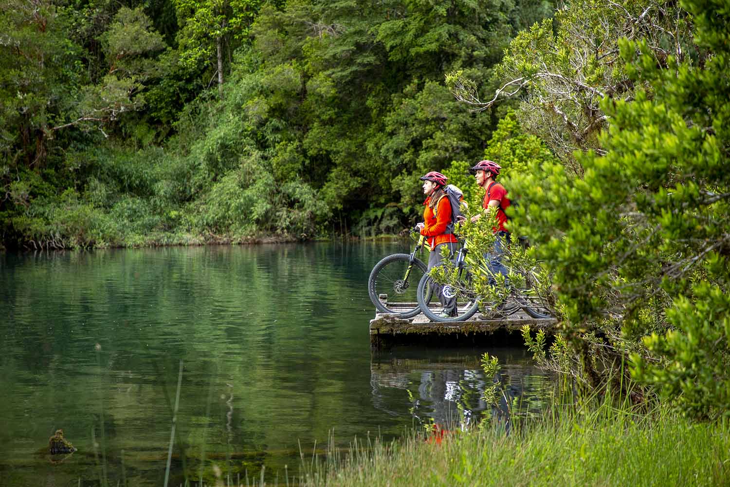 acceso contr-186 copia