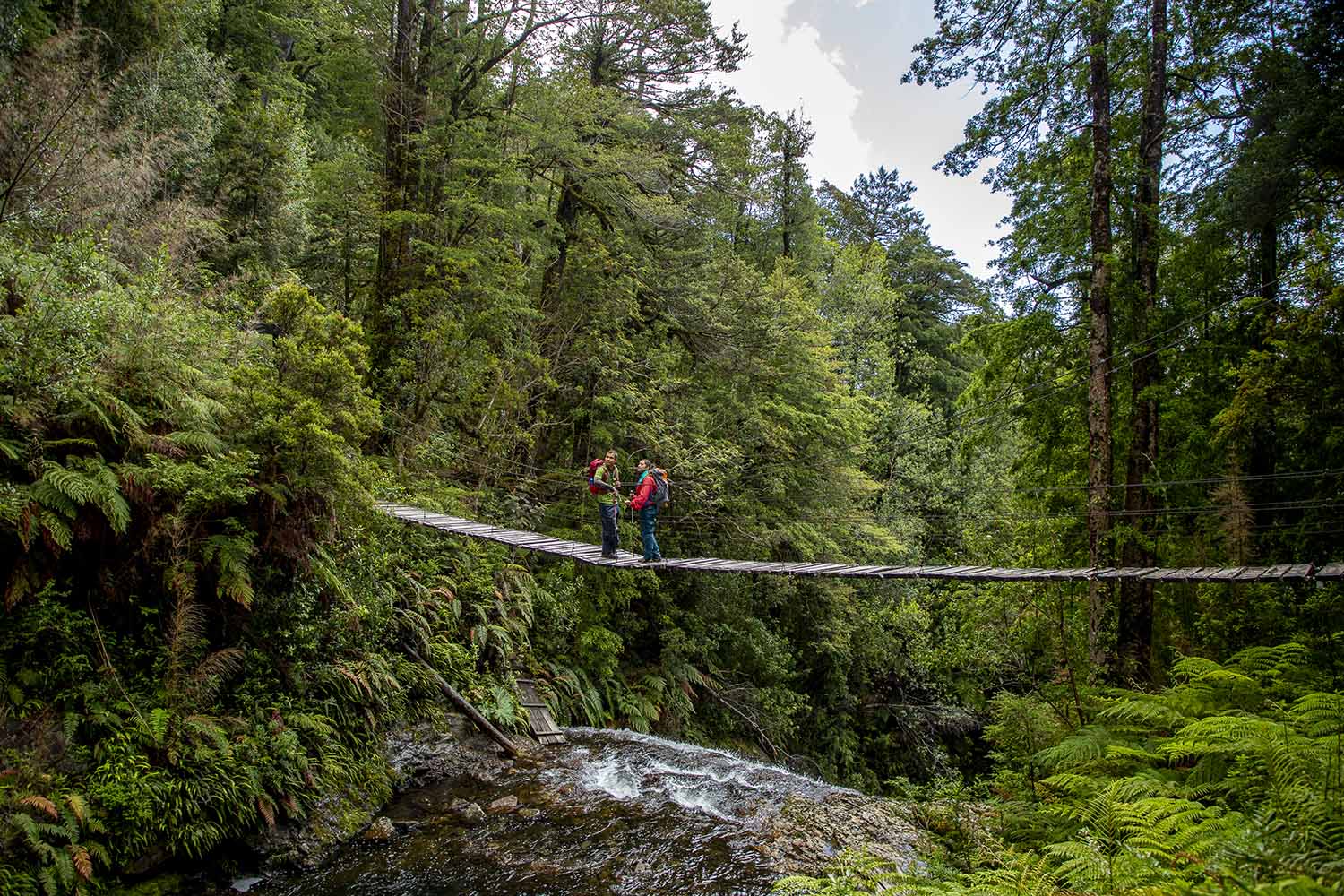 acceso contr-79 copia