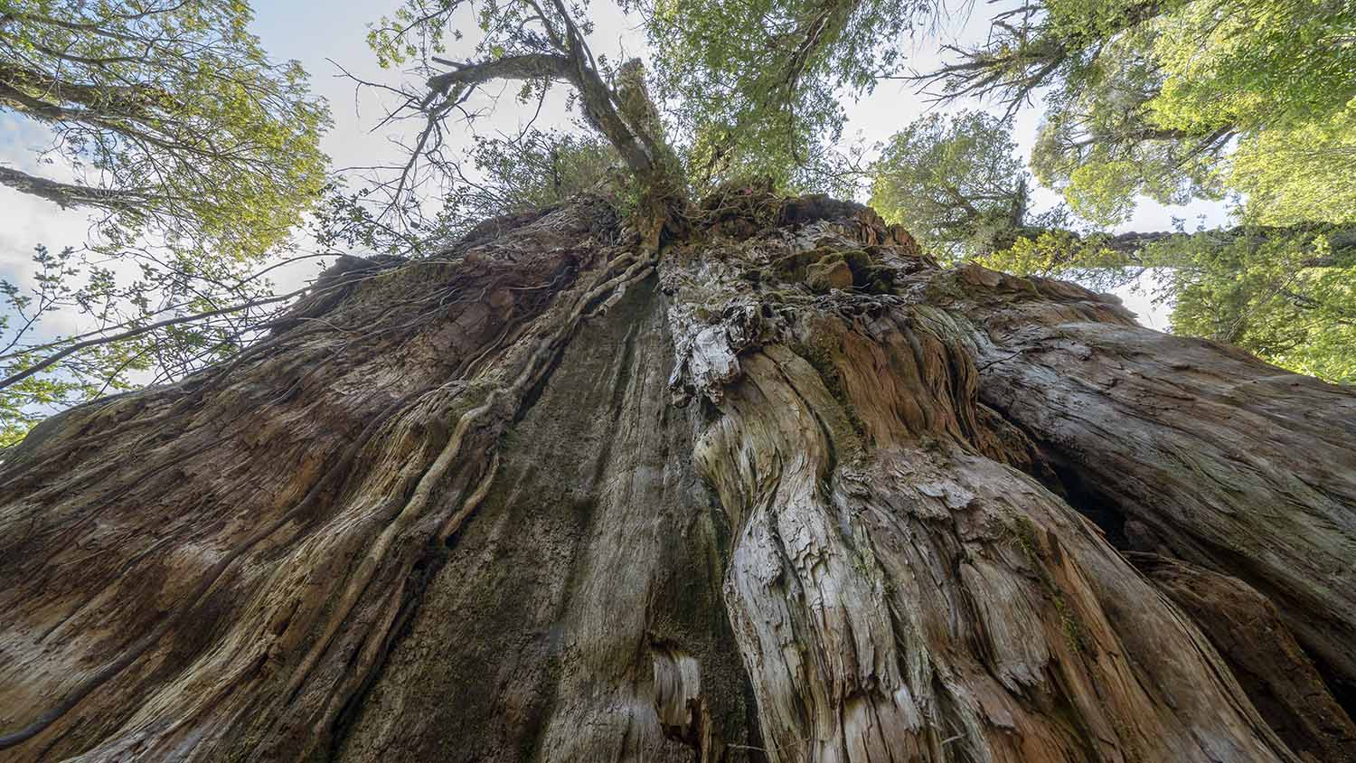 acceso contr-9 copia