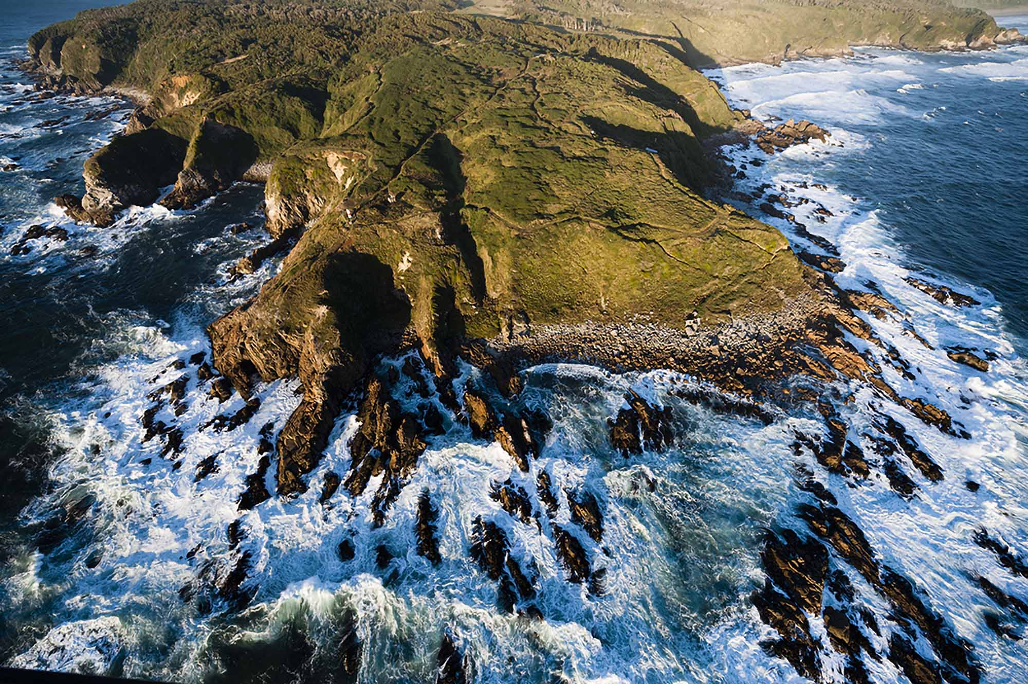 (ALL INTERNAL RIGHTS, LIMITED EXTERNAL RIGHTS) March 2012. An aerial view of Colun Beach in the Valdivian Coastal Reserve, Los Rios, Chile. Photo credit: ©2012 Nick Hall