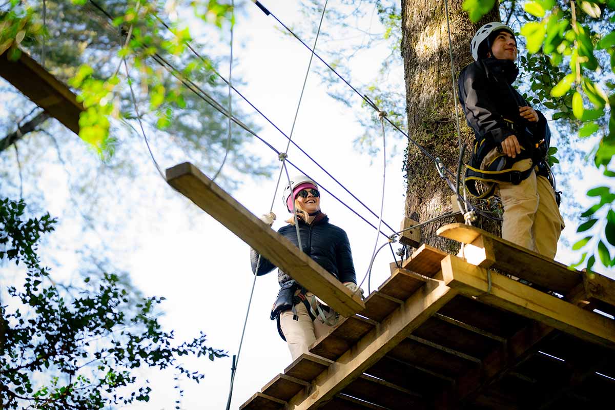 untitled-7305336 copia