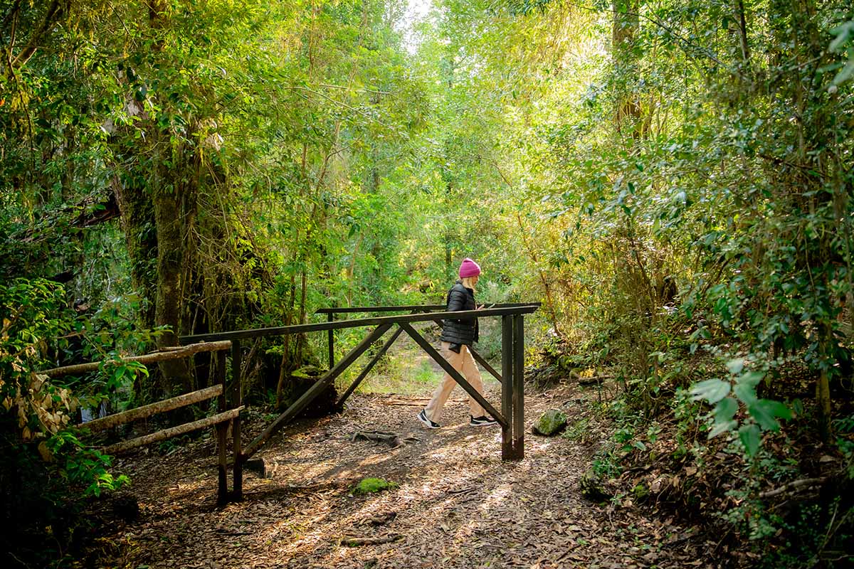 untitled-7306009 copia