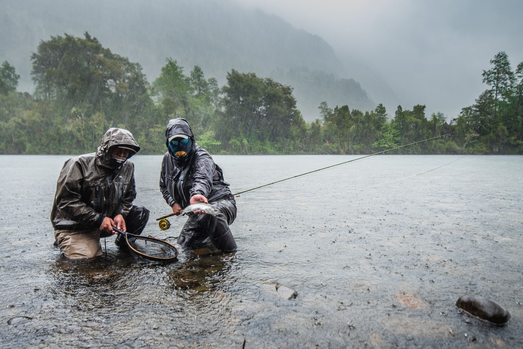 Dos pescadores con mosca liberando una trucha en un río de la Región de Los Ríos