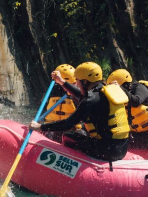 Captura de pantalla 2026-01-07 095557