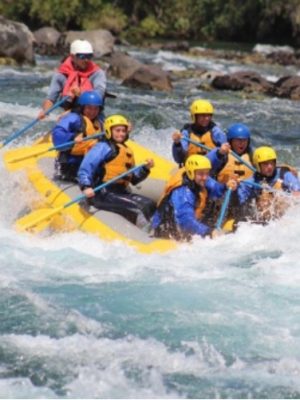 Captura de pantalla 2026-01-07 101342