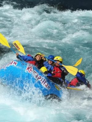 Captura de pantalla 2026-01-07 102251