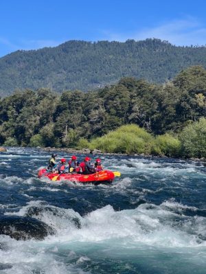 Captura de pantalla 2026-01-07 102614