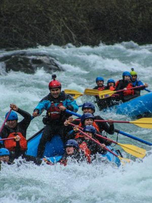 Captura de pantalla 2026-01-07 103004