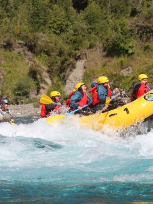 Captura de pantalla 2026-01-07 103241