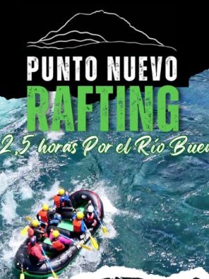 Captura de pantalla 2026-01-07 111204