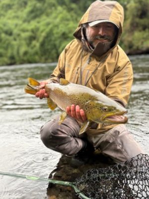 Captura de pantalla 2026-01-07 121656