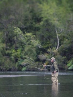 Captura de pantalla 2026-01-07 122319