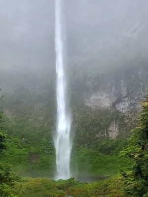 Captura de pantalla 2026-01-07 151252