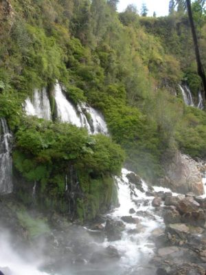 Captura de pantalla 2026-01-08 121552