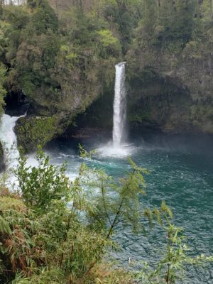 Captura de pantalla 2026-01-08 123420