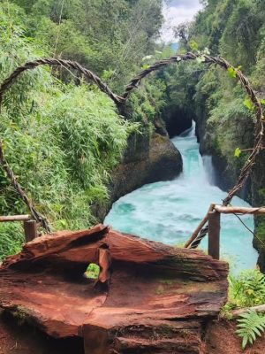 Captura de pantalla 2026-01-08 125934