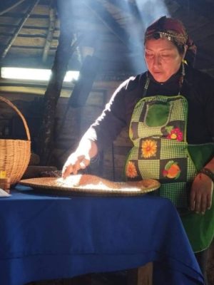 Captura de pantalla 2026-01-09 143828